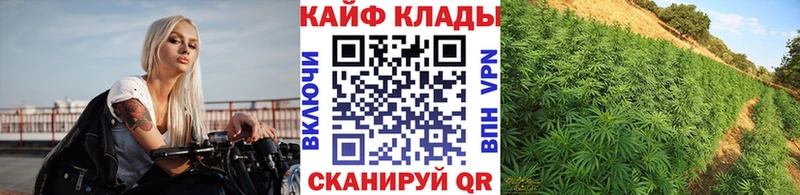 Где купить наркотики Камышин APVP NBOMe МАРИХУАНА COCAIN Гашиш