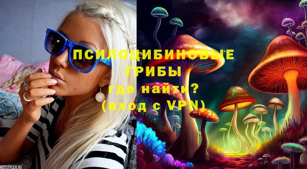 ешки Волоколамск